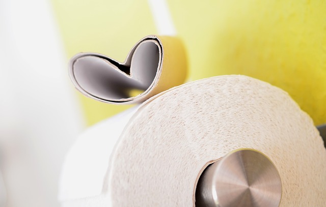 Heart shaped cardboard tube on top of a roll of toilet paper