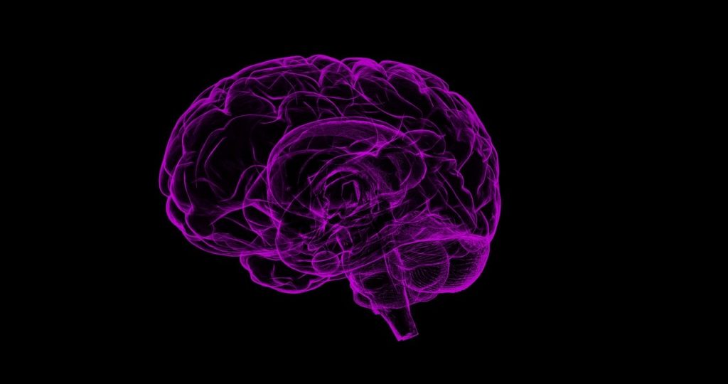 Purple brain on black background
